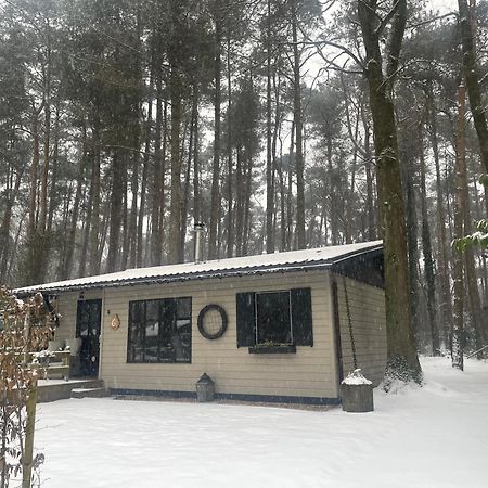 Chalet Sint Zutendaal Dış mekan fotoğraf